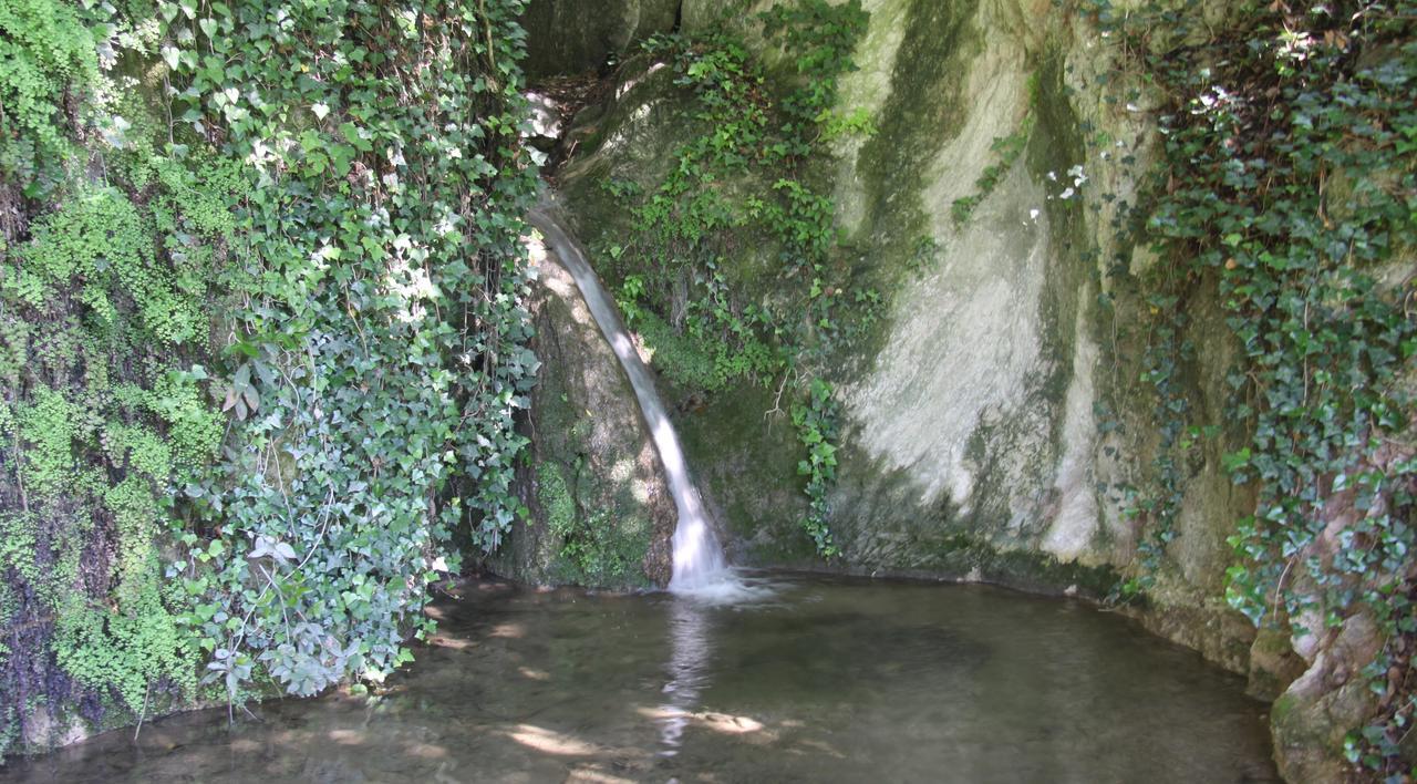 לינה וארוחת בוקר טוסקולנו מדרנו La Cascata Negli Ulivi מראה חיצוני תמונה