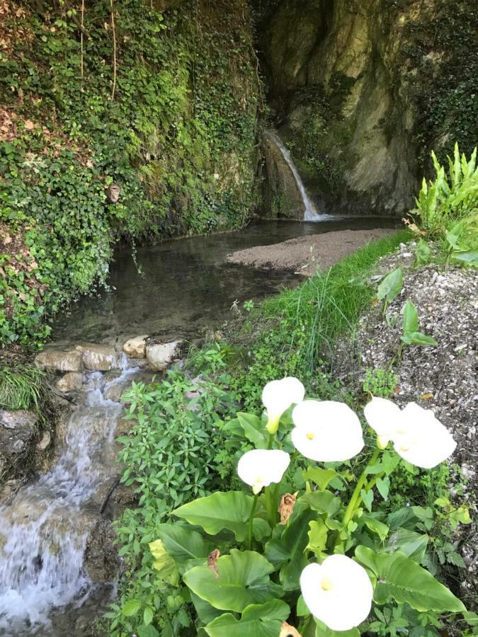 לינה וארוחת בוקר טוסקולנו מדרנו La Cascata Negli Ulivi מראה חיצוני תמונה